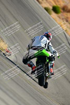 media/Oct-24-2025-2WTD (Fri) [[491f36c2bf]]/B Group/Session 3 (Turn 5)/